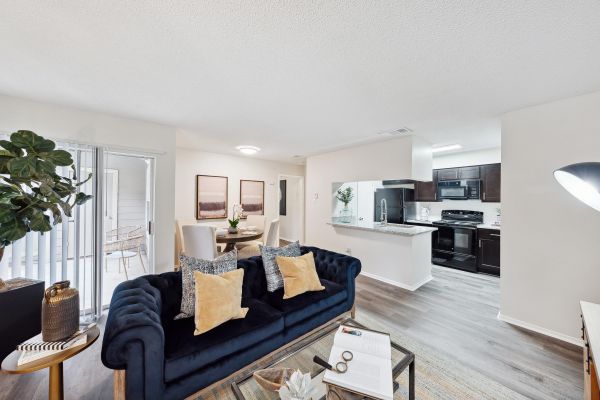 Altamonte Apartments open floor plan with living, dining, and kitchen area